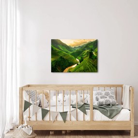 Obraz - Ryžové terasy Mu Cang Chai (70x50 cm)
