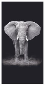 PLÁŽOVÁ OSUŠKA Z MIKROVLÁKNA ELEPHANT2 100X180 CM VZOROVANÁ
