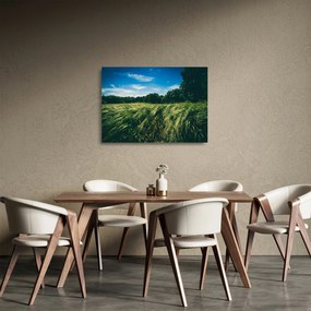 Sklenený obraz lúky a lesa (70x50 cm)