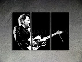 Ručne maľovaný POP Art obraz Bruce Springsteen