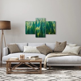 Obraz - Borovicový les (90x60 cm)