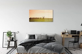 Sklenený obraz Stádo jeleňov poľa svitania 125x50 cm
