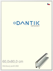 DANTIK rám na obraz 60x80 | ALU Stříbrná matná (Plexi Čiré)
