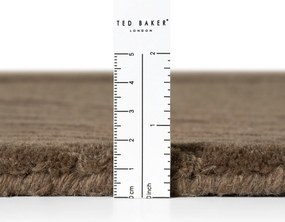 Ted Baker, Kusový koberec Ted Baker Kensington 106401 Braun, 200x300, hnedá, kancelária
