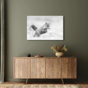 Obraz - Skákajúca líška, čiernobiela (90x60 cm)