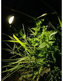 Immax 08502L - LED Solárna lampa so senzorom LED/1W/3,7V 6000K IP65