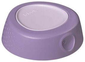 Termoska na jedlo mini - medveď