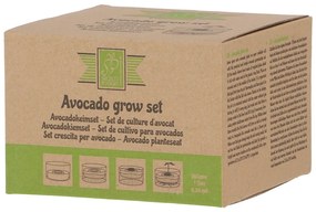 Sklenená klíčiaca miska ø 14 cm Avocado – Esschert Design