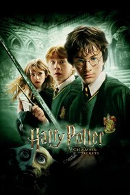 Umelecká tlač Harry Potter - Tajomná komnata, (26.7 x 40 cm)