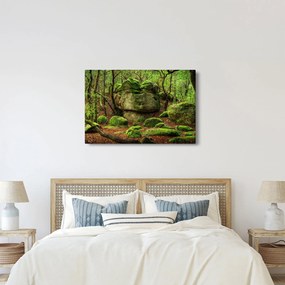 Obraz čarovného lesa (90x60 cm)