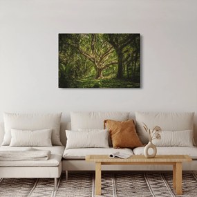 Obraz stromov (90x60 cm)