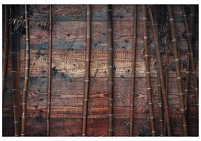 Samolepiaca tapeta exotický bambus na dreve