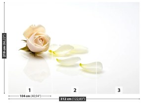 Fototapeta Vliesová Ružová ruža 208x146 cm