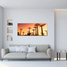 Obraz - Západ slnka v uličke Baobab (120x50 cm)