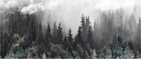 Obraz - Les s ilustrovanými prvkami (120x50 cm)