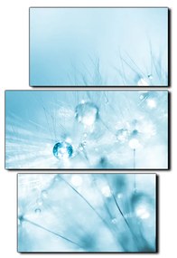 Obraz na plátne - Dandelion z kvapkami rosy - obdĺžnik 7262C (90x60 cm)