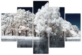 Obraz - Snehobiele stromy (150x105 cm)