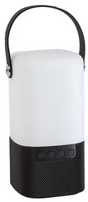 LED stojaca lampa Ray 9.3 čierne