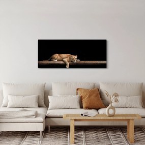 Obraz - Levice (120x50 cm)