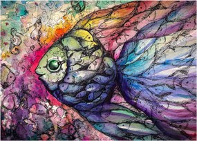 Obraz - Farebná rybička (70x50 cm)
