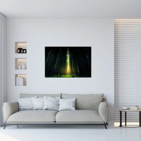 Obraz temného lesa (90x60 cm)