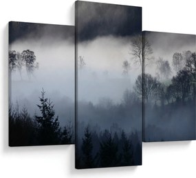 Obraz hmly nad lesom (90x60 cm)
