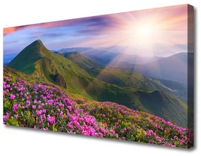 Obraz Canvas Hory lúka kvety príroda 120x60 cm