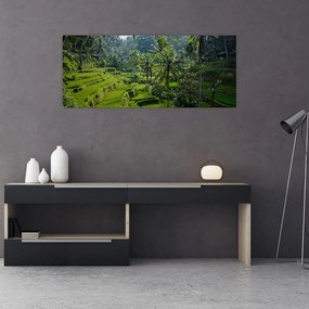 Obraz ryžových terás Tegalalang, Bali (120x50 cm)