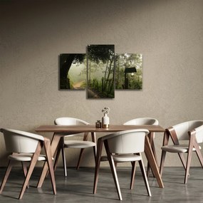 Obraz rannej hmly (90x60 cm)