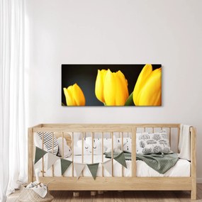 Obraz tulipánov (120x50 cm)