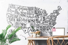 Tapeta šedá mapa USA s jednotlivými štátmi - 225x150