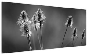Obraz - Béžová soft grass N⁰2 (120x50 cm)