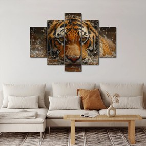 Obraz - Portrét tigra vo vode (150x105 cm)