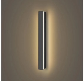 Brilagi - LED vonkajšie nástenné svietidlo LINEAR LED/12W/230V 3000K IP65 antracit