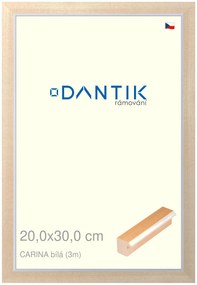 DANTIK rám na obraz 20x30 | CARINA Bílá (Sklo Čiré)