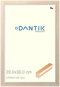 DANTIK rám na obraz 20x30 | CARINA Bílá (Sklo Čiré)