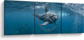 Obraz - Delfín pod hladinou (s hodinami) (90x30 cm)