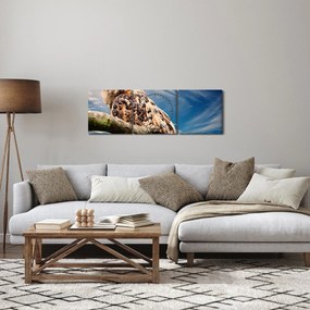 Obraz - Sova (s hodinami) (90x30 cm)