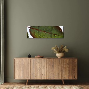 Obraz - List ruže (s hodinami) (90x30 cm)
