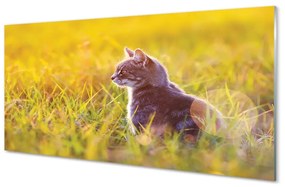 Sklenený obraz lov cat 125x50 cm