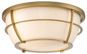 Quoizel QZ-CHANCE-F-PNBR- Kúpeľňové stropné svietidlo CHANCE 2xE27/60W/230V IP44