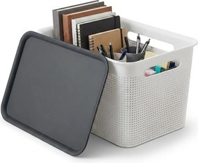 Rotho Úložný box s vekom a s držadlami BRISEN 16l, 36x26,2x21cm, biely