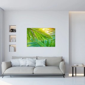 Obraz - Palmové listy (90x60 cm)
