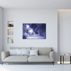 Obraz - Čarovná zimná noc (90x60 cm)
