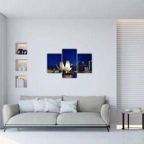 Obraz nočného Singapuru (90x60 cm)
