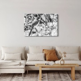Obraz - Modrý vták v zime (90x60 cm)