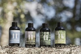 RENTO Přírodní vůně Eukalyptus & Borovice, 100 ml