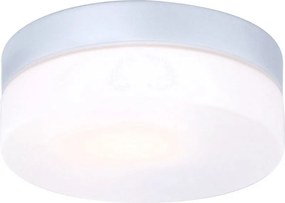 GLOBO 32111 VRANOS vonkajšie stropné svietidlo D185mm 1xE27 IP44 strieborná, opál