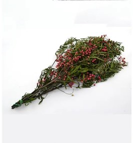 Stabilizovaná rastlina Pepertree 55 cm (10pcs)