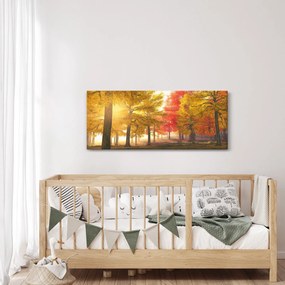 Obraz jesenných stromov (120x50 cm)